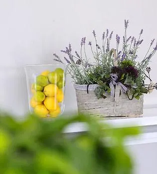 ホテル Ostria Sea Side 4*